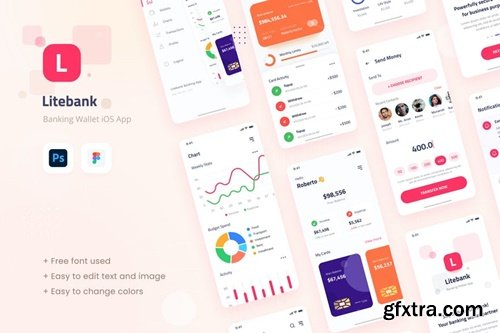 Litebank - Banking Wallet iOS App Design UI EWQUYDS