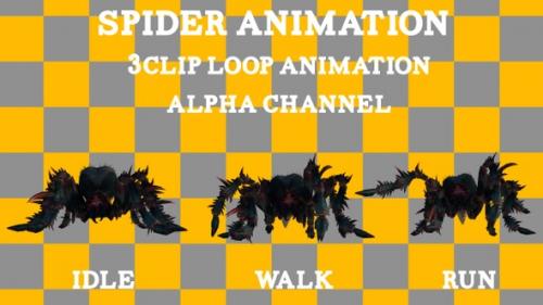 Videohive - Spider 3Clip Loop - 38212407 - 38212407