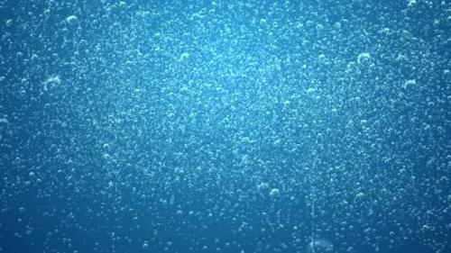 Videohive - Extra Blue Soda Bubbles Background with Loop - 38216434 - 38216434