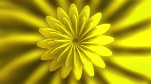 Videohive - Beautiful Hypnotic Flower Pattern - 38125191 - 38125191