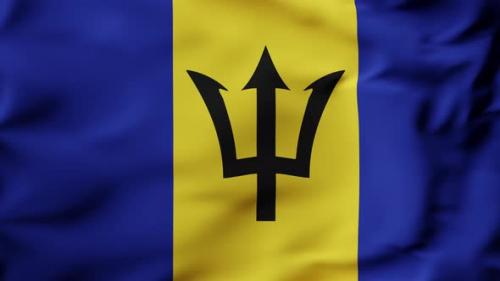 Videohive - 3D Animation Flag Waving in Slow Motion Fill Frame Barbados - 38135823 - 38135823