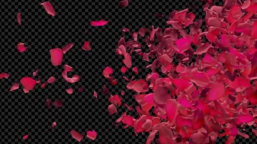 Videohive - Red Rose Petals Flying By Right To Left Transition - 38286390 - 38286390