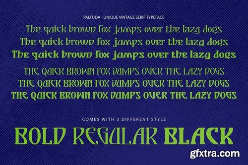 Paltuda - Unique Vintage Serif Typeface