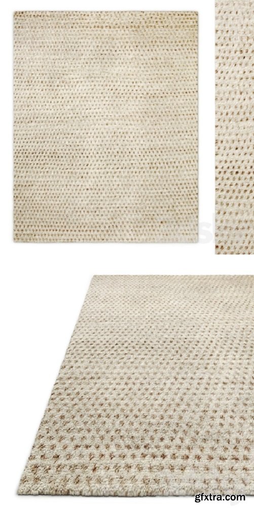 Restoration Hardware Rug