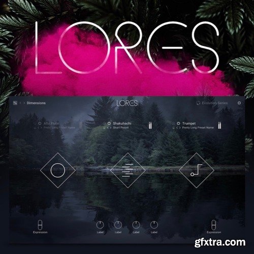 Native Instruments LORES KONTAKT