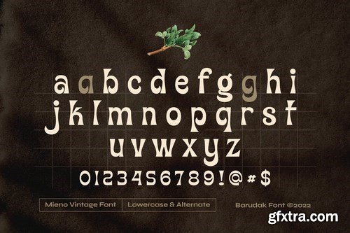 Mieno - Serif Display Font