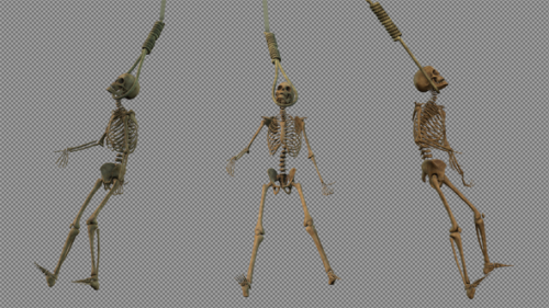 Videohive - Three Skeleton hanging in Gallows Rope - 38347271 - 38347271