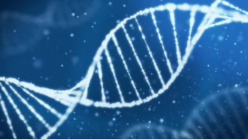 Videohive - Dna Strand Double Helix - 38381661 - 38381661