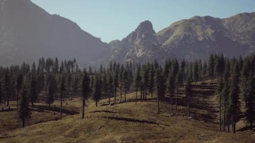 Videohive - Landscape View of the Mountain Range with Trees in the Fall - 38394362 - 38394362