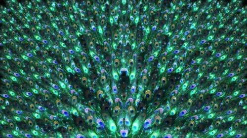 Videohive - Abstract Shining Peacock Feathers Background Loop - 38304677 - 38304677