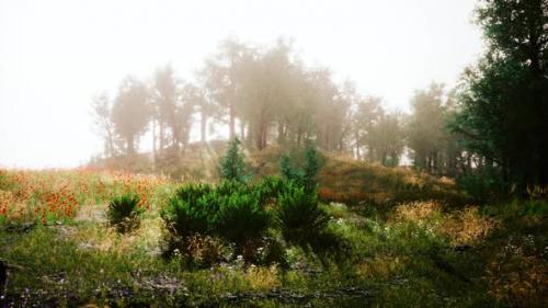 Videohive - Idyllic Landscape in the Alps with Fresh Green Meadows and Blooming Flowers - 38331071 - 38331071