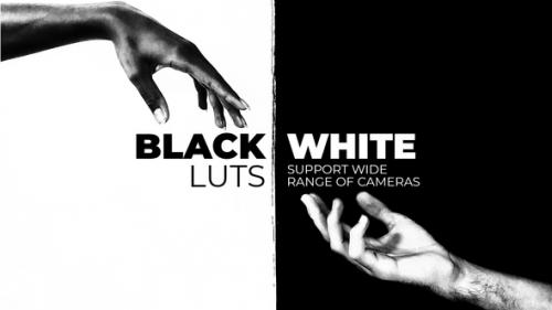 Videohive - Black and White LUTs - 38399453 - 38399453