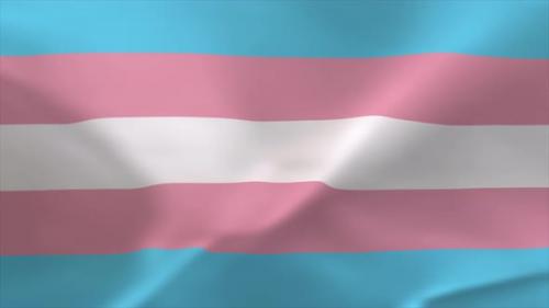 Videohive - Transgender Waving Flag Animation 4K Moving Wallpaper Background - 38419792 - 38419792