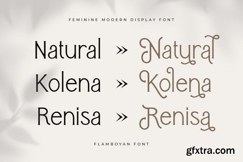 Flamboyan - Feminine Modern Display Font