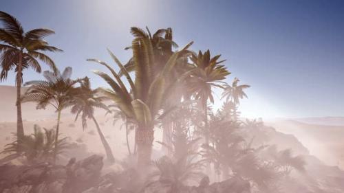 Videohive - Erg Chebbi Dunes in the Sahara Desert - 38410937 - 38410937