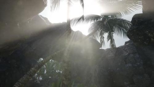 Videohive - Big Palms in Stone Cave with Rays of Sunlight - 38411022 - 38411022