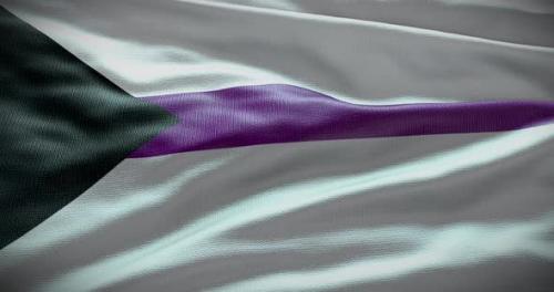 Videohive - Demisexual waving flag animation 4K - 38453236 - 38453236