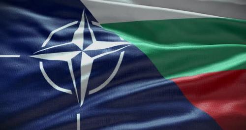 Videohive - Bulgaria and NATO waving flag animation loop - 38455012 - 38455012