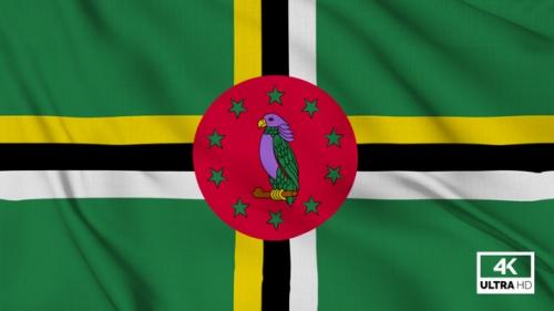 Videohive - Dominica Flag Waving Slowly Looped - 38458444 - 38458444