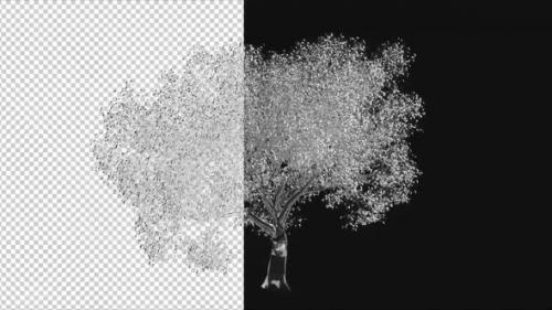 Videohive - Glass Tree Growth Animation - 38458450 - 38458450