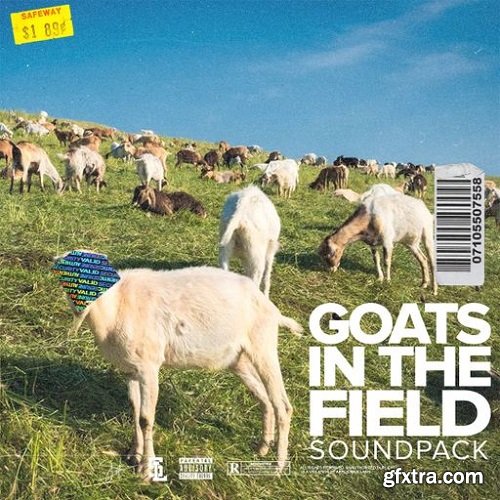 Stve Lawrence Goats In The Field WAV