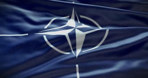 Videohive - NATO waving flag animation loop - 38455008 - 38455008