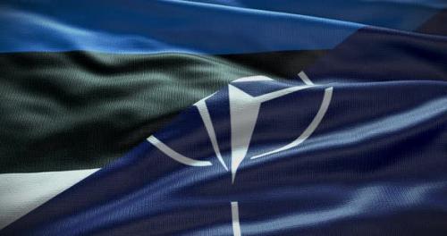 Videohive - Estonia and NATO waving flag graphic animation loop - 38455206 - 38455206