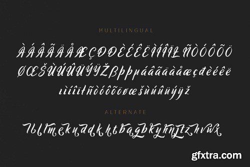 Ringtrack Font