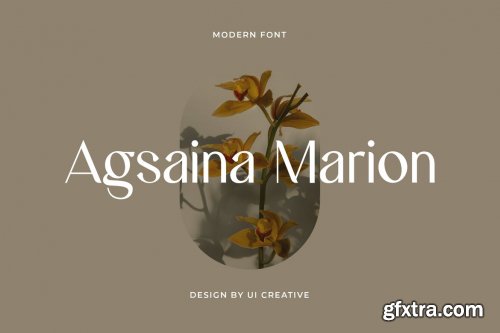 Agsaina Marion Font