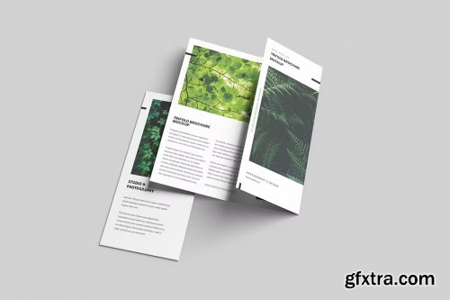 Green Trifold Brochure Mockup