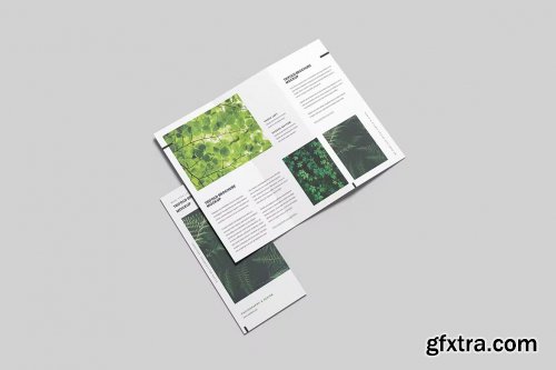 Green Trifold Brochure Mockup