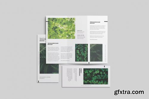 Green Trifold Brochure Mockup