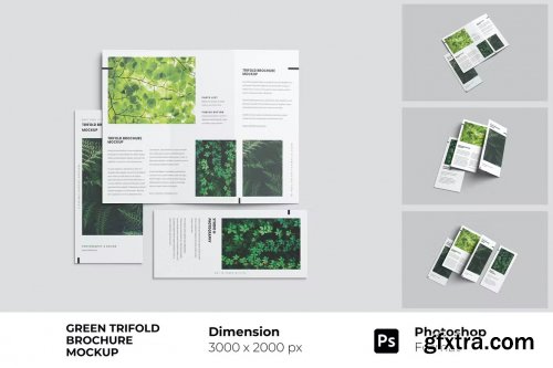 Green Trifold Brochure Mockup