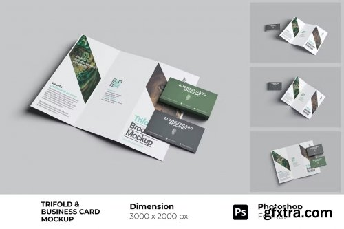 Trifold and Business Card Mockup