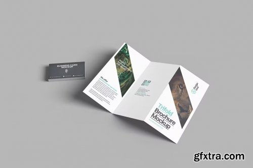 Trifold and Business Card Mockup