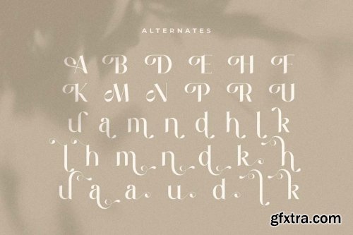 Maung - Elegant Classy Serif Font