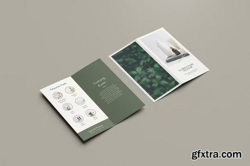 Bifold DL Flyer Mockup