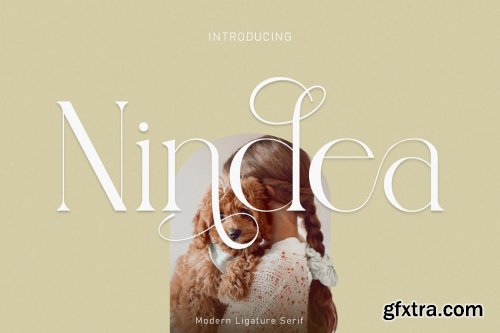 Nindea Modern Ligature Serif