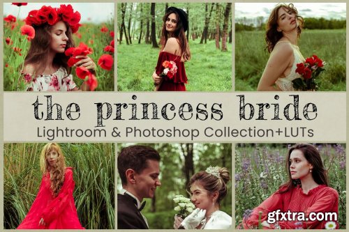 CreativeMarket - Princess Bride Lightroom Presets 7277159