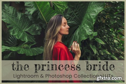 CreativeMarket - Princess Bride Lightroom Presets 7277159