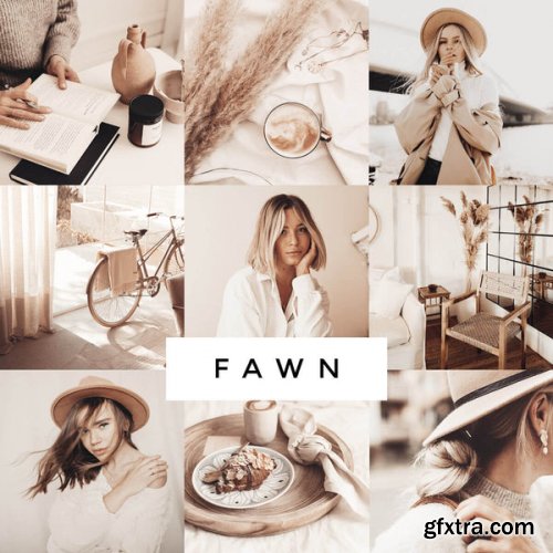 Loox - Fawn Lightroom Presets