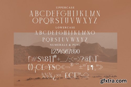 Mechago Stylish Serif Font