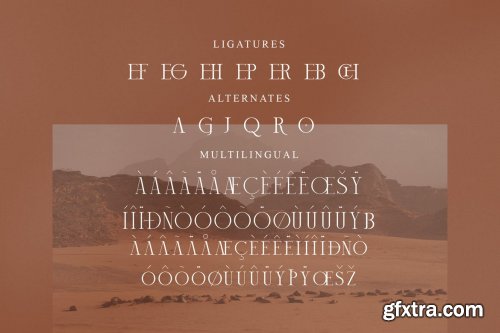 Mechago Stylish Serif Font