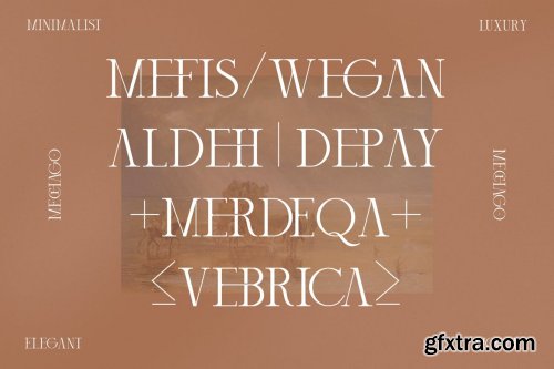 Mechago Stylish Serif Font