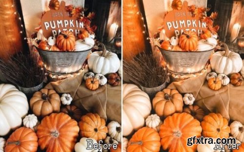 6 Pumpkin Lightroom Presets