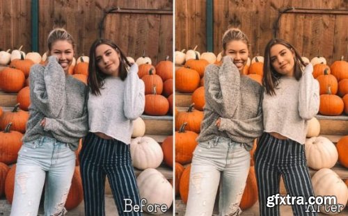 6 Pumpkin Lightroom Presets