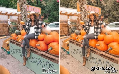 6 Pumpkin Lightroom Presets