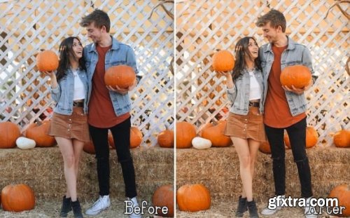 6 Pumpkin Lightroom Presets