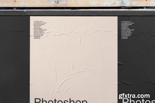 Wall Posters Mockup