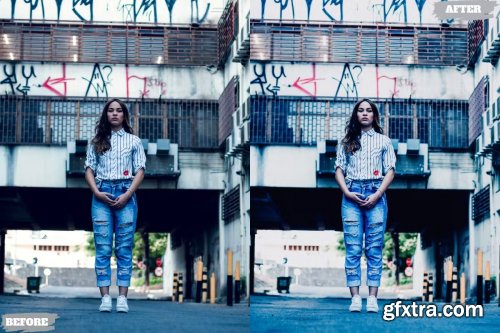 Artistic Style Lightroom Presets Dekstop Mobile